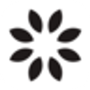 Animate Old Photos logo