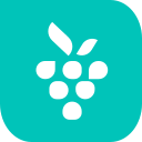 Berrycast logo