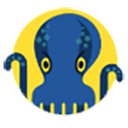 JetOctopus logo