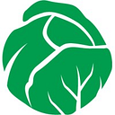 LettuceMeet logo