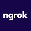 Ngrok.com logo