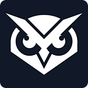 Visual Sentinel logo